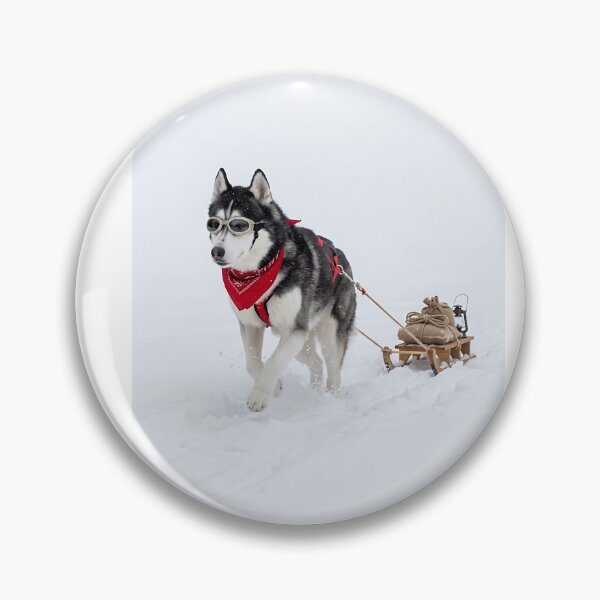 Item preview, Husky Arctic Sled Explorer designed and sold by PictoVibe.