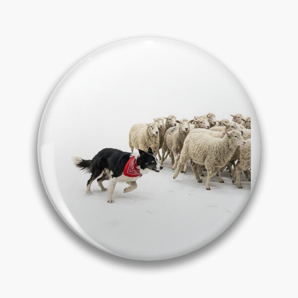 Item preview, Border Collie Sheepdog Herder designed and sold by PictoVibe.