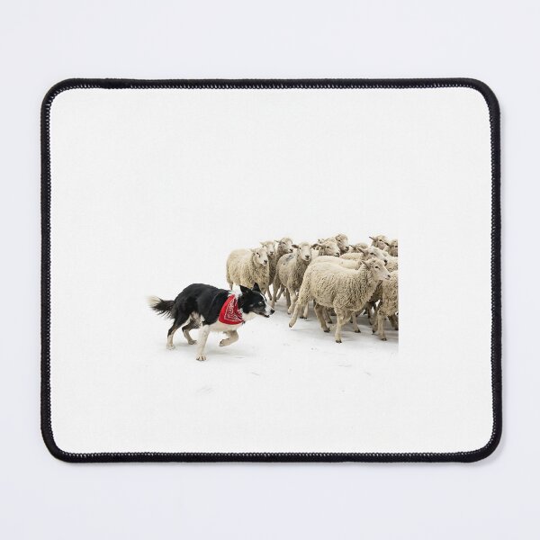 Item preview, Border Collie Sheepdog Herder designed and sold by PictoVibe.