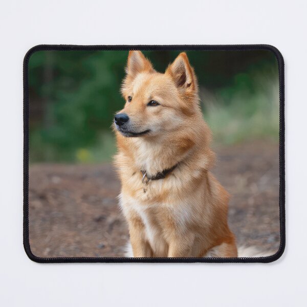 Item preview, Finnish Spitz designed and sold by Elisabeth Lucas.