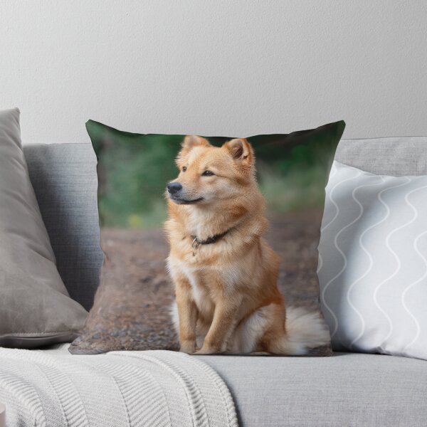 Item preview, Finnish Spitz designed and sold by Elisabeth Lucas.