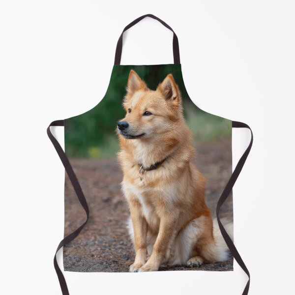 Item preview, Finnish Spitz designed and sold by Elisabeth Lucas.