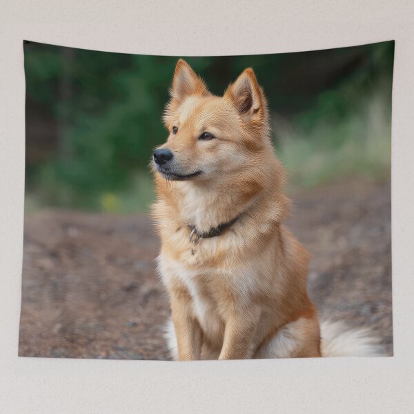 Item preview, Finnish Spitz designed and sold by Elisabeth Lucas.