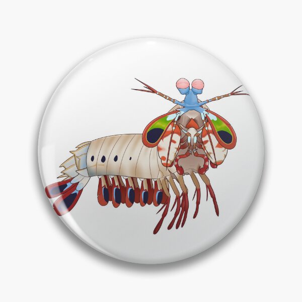 Item preview, Peacock Mantis Shrimp designed and sold by Sonderdaisies.