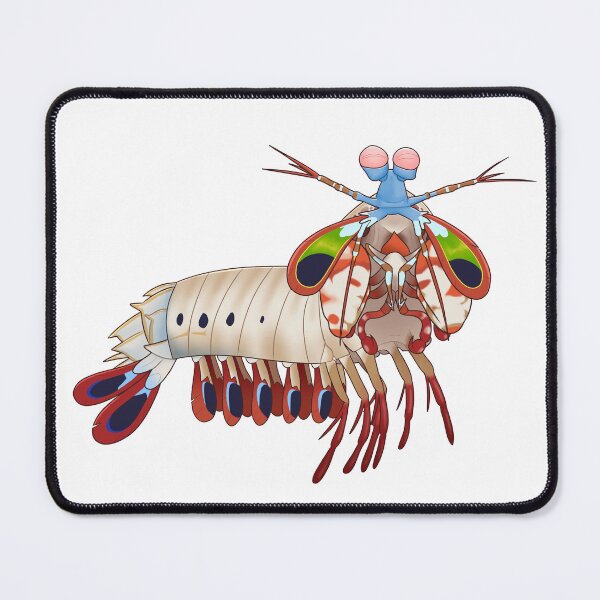 Item preview, Peacock Mantis Shrimp designed and sold by Sonderdaisies.
