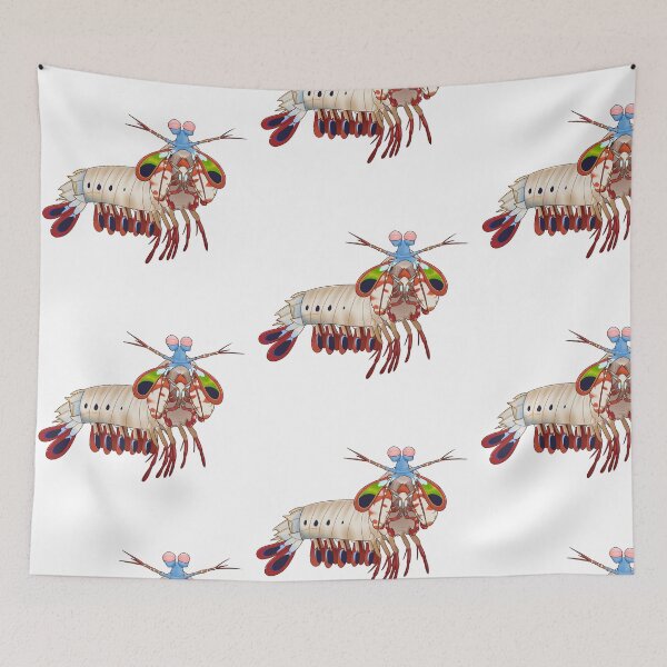 Item preview, Peacock Mantis Shrimp designed and sold by Sonderdaisies.