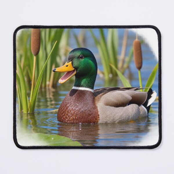 Item preview, Cute Mallard Duck Pond Cartoon – Funny Waterfowl Nature Design designed and sold by Prince Tripathi .