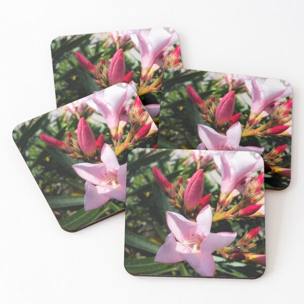 Item preview, Pink Oleander  designed and sold by Songsnsmuttales.