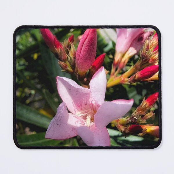 Item preview, Pink Oleander designed and sold by Songsnsmuttales.