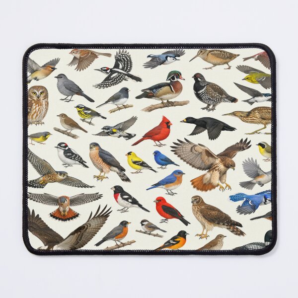 Item preview, Native Birds of New Hampshire Retro Style Identification Chart designed and sold by kakarikihill.