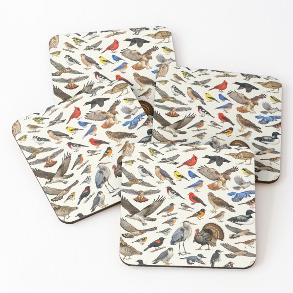 Item preview, Native Birds of New Hampshire Retro Style Identification Chart designed and sold by kakarikihill.
