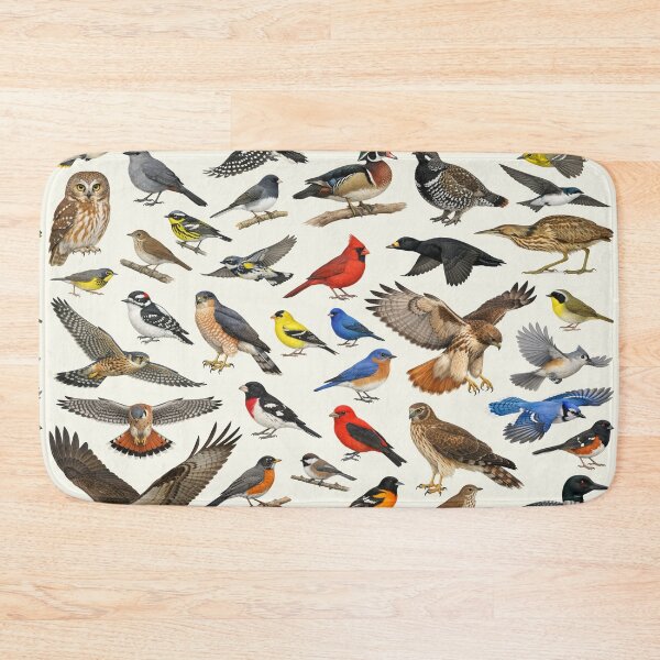 Item preview, Native Birds of New Hampshire Retro Style Identification Chart designed and sold by kakarikihill.