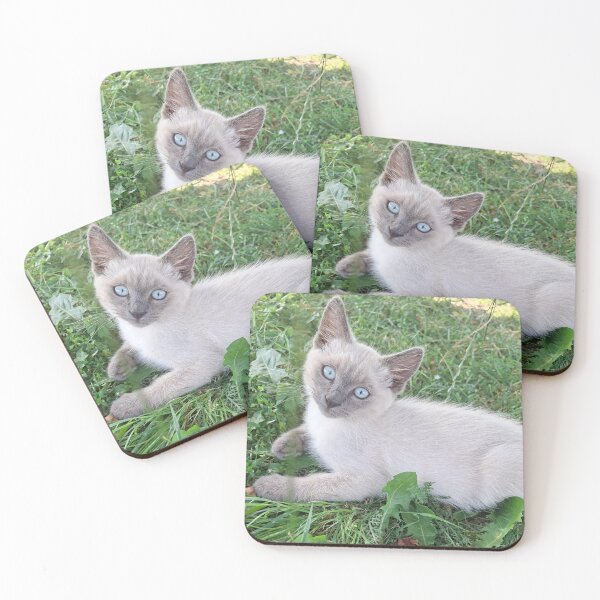 Item preview, Blue Eyed Siamese Cat in Nature  designed and sold by SofiaByCruti.