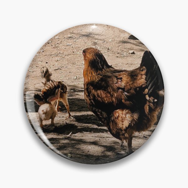Item preview, Wild Hen and chicks in Baja designed and sold by Songsnsmuttales.