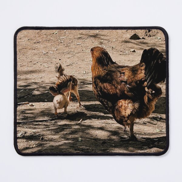 Item preview, Wild Hen and chicks in Baja designed and sold by Songsnsmuttales.