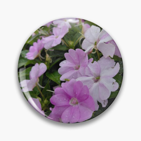 Item preview, Pink and White Flowers in Hong Kong – Botanical Garden Photography designed and sold by pbchan.