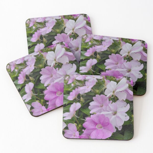 Item preview, Pink and White Flowers in Hong Kong – Botanical Garden Photography designed and sold by pbchan.