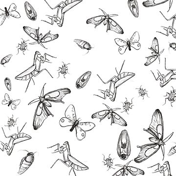 Black And White Bug Pattern Art Print for Sale by MacJo