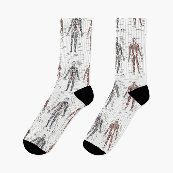Item preview, French vintage human anatomy illustration  designed and sold by Anne Londez Studio.
