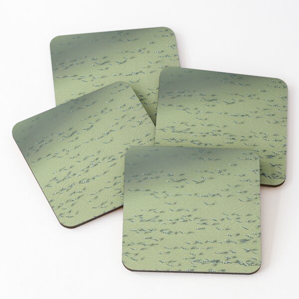 Item preview, Pelicans Over Lake Eyre — Aerial Flock Pattern, South Australia Main Tag: designed and sold by BushPilotLens.