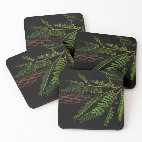 Item preview, Cholla Wood and Mesquite Sprig Sonoran Desert Photograph designed and sold by SiliconValleyUS.