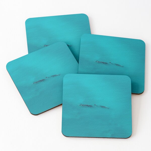 Item preview, Southern Right Whales, Head of the Bight — Aerial Ocean Photography designed and sold by BushPilotLens.