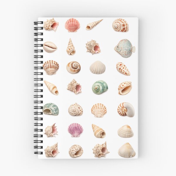 Item preview, Seashell Collection Ocean Beach Conch Shell Vintage Marine Aesthetic designed and sold by Rehnair.