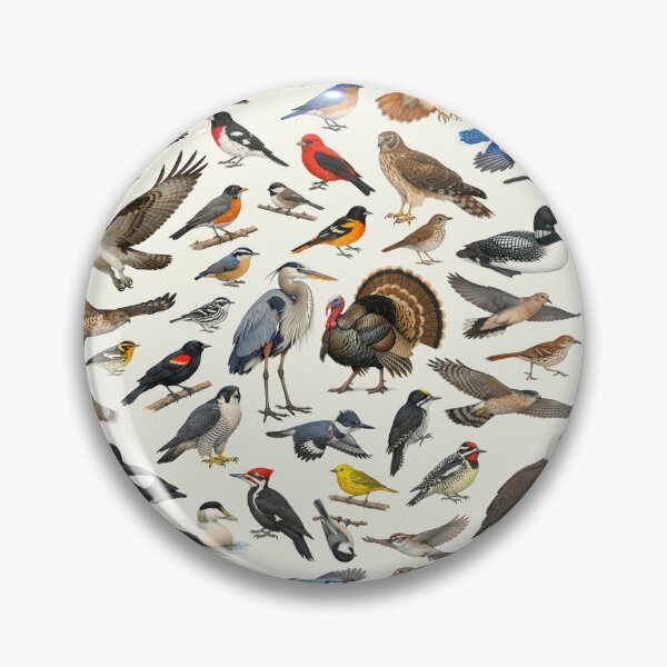 Item preview, Native Birds of New Jersey Retro Identification Chart designed and sold by kakarikihill.