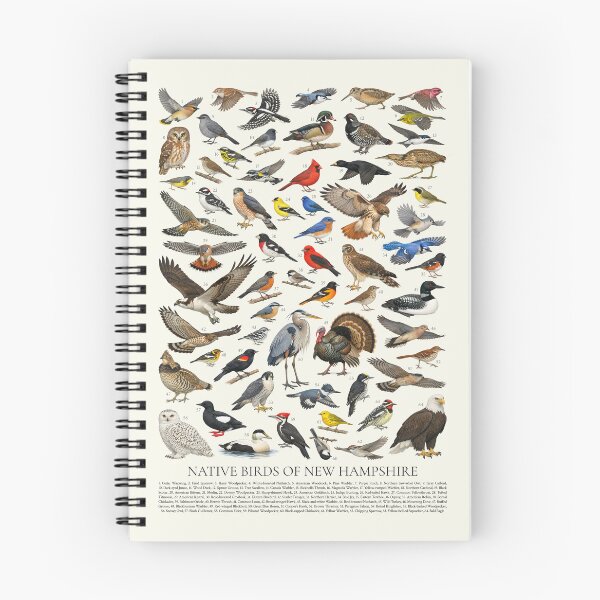 Item preview, Native Birds of New Jersey Retro Identification Chart designed and sold by kakarikihill.