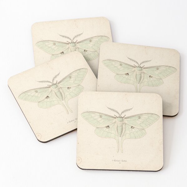 Item preview, Vintage Luna Moth Specimen Natural History Plate Wall Decor designed and sold by PictorialWhimsy.