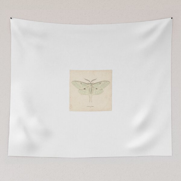 Item preview, Vintage Luna Moth Specimen Natural History Plate Wall Decor designed and sold by PictorialWhimsy.