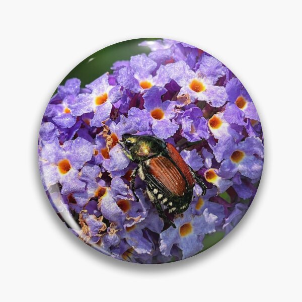 Item preview, Japanese beetle on purple flowers designed and sold by Astute-Artio-Photography.