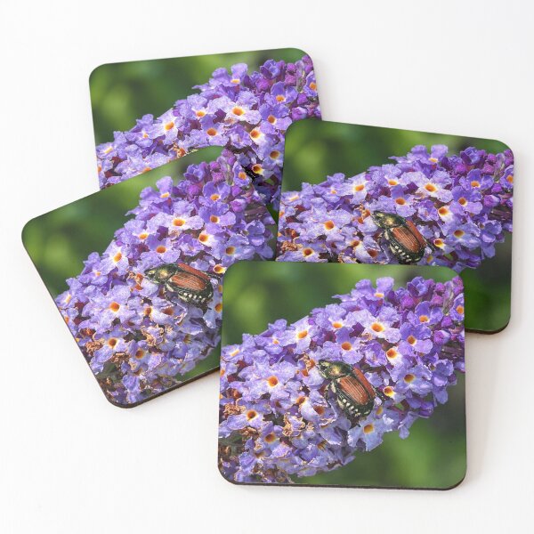 Item preview, Japanese beetle on purple flowers designed and sold by Astute-Artio-Photography.