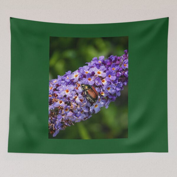 Item preview, Japanese beetle on purple flowers designed and sold by Astute-Artio-Photography.