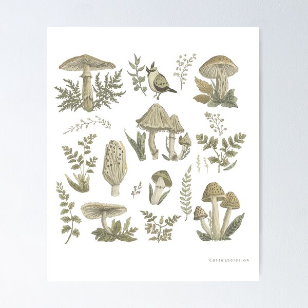 Item preview, Mushroom Forest Botanical Illustration designed and sold by Tee-Pulse.