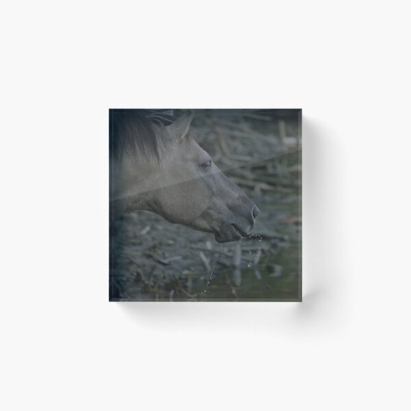 Item preview, Frozen reality - Beautiful nature 971 designed and sold by deep-sea-birds.
