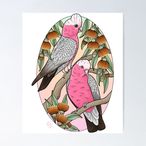 Item preview, galahs designed and sold by TroyEDavis8.