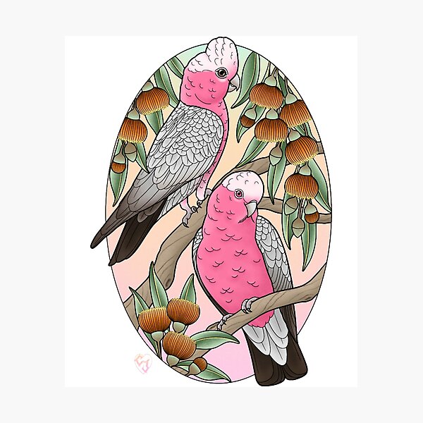 Item preview, galahs designed and sold by TroyEDavis8.
