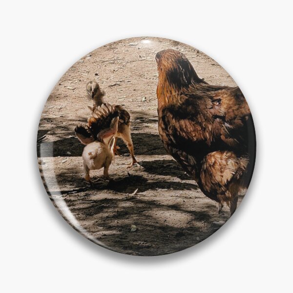 Item preview, Wild Hen and chicks in Baja designed and sold by Songsnsmuttales.