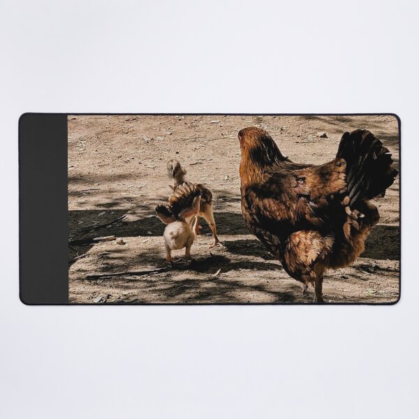 Item preview, Wild Hen and chicks in Baja designed and sold by Songsnsmuttales.