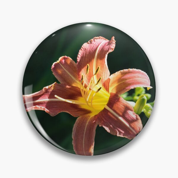 Item preview, Sunny Spotlight on a Copper and Gold Daylily designed and sold by Georgia Mizuleva.