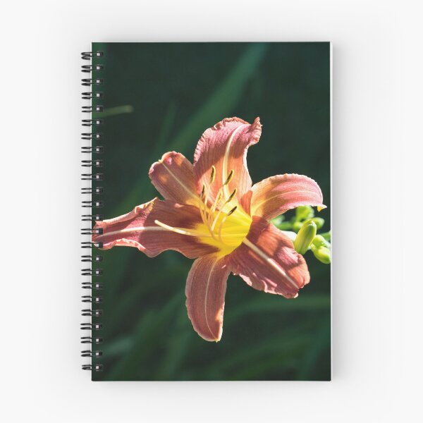 Item preview, Sunny Spotlight on a Copper and Gold Daylily designed and sold by Georgia Mizuleva.