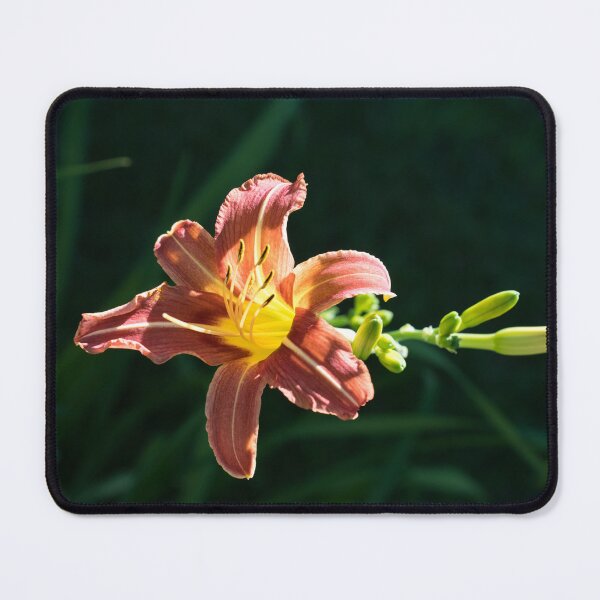 Item preview, Sunny Spotlight on a Copper and Gold Daylily designed and sold by Georgia Mizuleva.