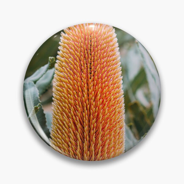 Item preview, Firewood Banksia menziesii Macro Banksia - Fine Art Photography Print designed and sold by MinzMarchStudio.