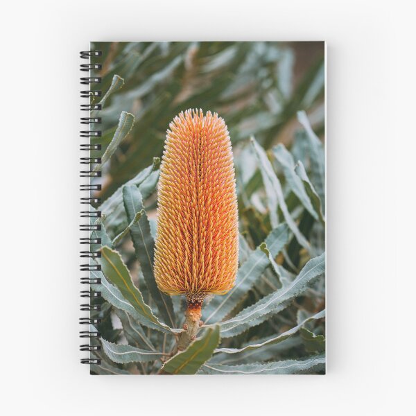 Item preview, Firewood Banksia menziesii Macro Banksia - Fine Art Photography Print designed and sold by MinzMarchStudio.