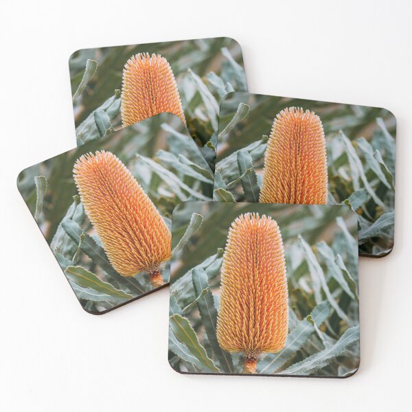 Item preview, Firewood Banksia menziesii Macro Banksia - Fine Art Photography Print designed and sold by MinzMarchStudio.