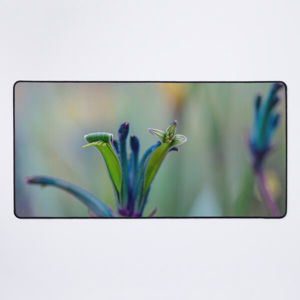 Item preview, Blue Masquerade Kangaroo Paw Anigozanthos Macro - Fine Art Print designed and sold by MinzMarchStudio.