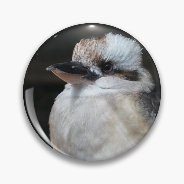 Item preview, Australian Laughing Kookaburra Natural Photogragh designed and sold by ShaimaaEl.