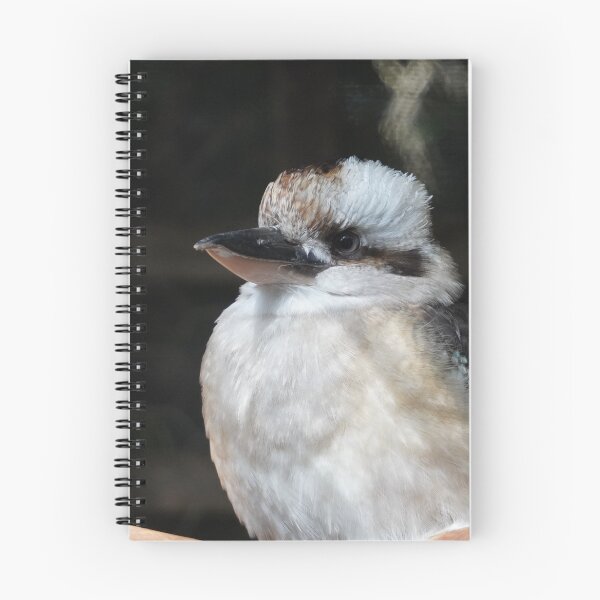 Item preview, Australian Laughing Kookaburra Natural Photogragh designed and sold by ShaimaaEl.