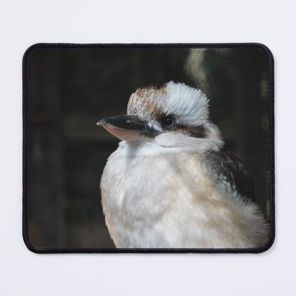 Item preview, Australian Laughing Kookaburra Natural Photogragh designed and sold by ShaimaaEl.
